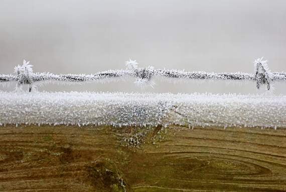 Frosty Friday morning ahead after temperatures dip to minus 2