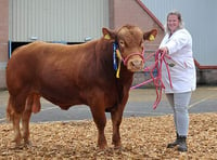 Carrying on the family tradition at Devon County Show