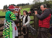 Panto Cow follows in War Horse’s footsteps