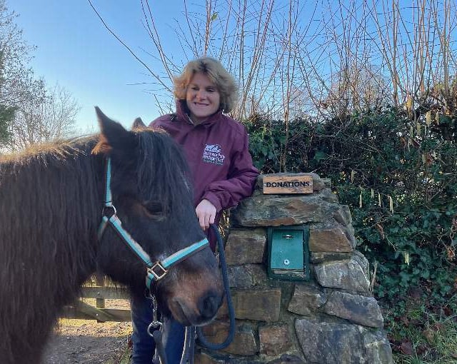 Pony charity devastated as thieves strike