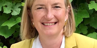 NHS Devon chair steps down