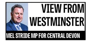 Local rural services and amenities: MP Mel Stride's latest column 