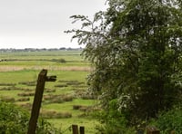 Kingsteignton’s beating the bounds