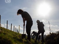 Restoring Dartmoor’s woodlands