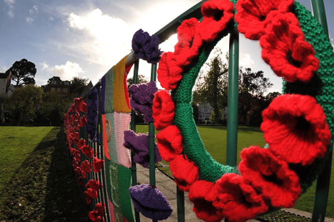 Dawlish Poppy Wall