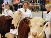 Agrifest returns to Westpoint