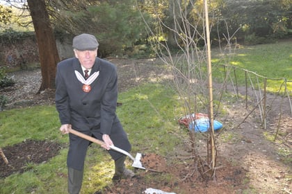 Watch as living legacy of Queen is planted in Teignmouth