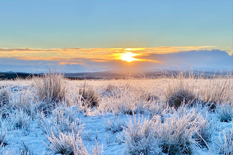 Snow near Holming Beam, Princetown