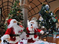 Christmas tree festival opens this weekend 