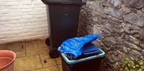 New year bin collections