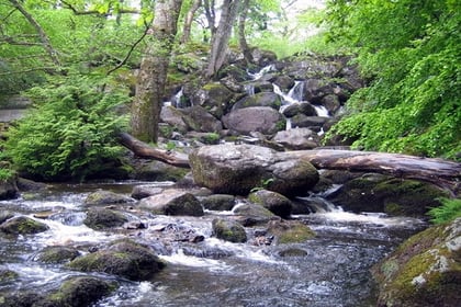 These famous Devon waterfalls have been among the most beautiful in Britain