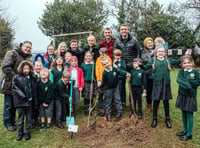 Going green at Dunsford School