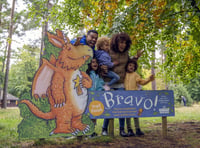 More Easter holiday fun – follow Zog on the Haldon Forest Trail