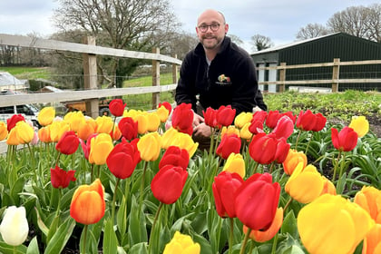 Grand piano is key to success in garden marquee at county show