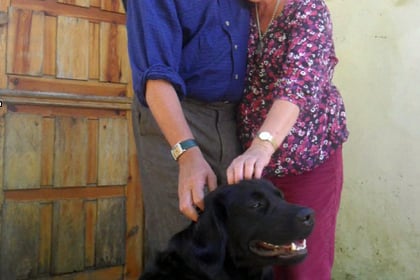Bovey Tracey cuple’s search for missing dog