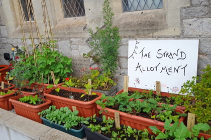 Mini allotment launched in town centre 