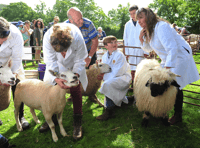 Picture Special: Christow Show ablaze with colour