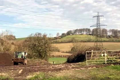 Order to protect trees on Newton Abbot development site