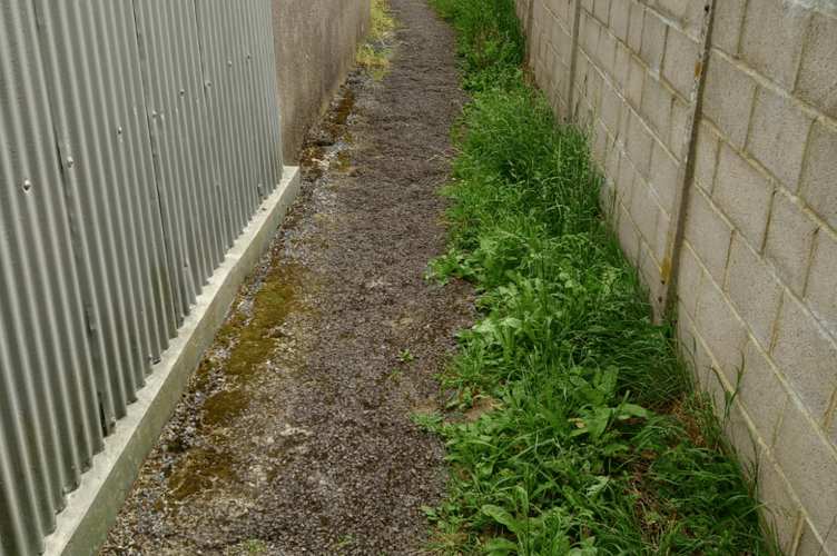 Kingsteington Town Council continues its work clearing pathways 