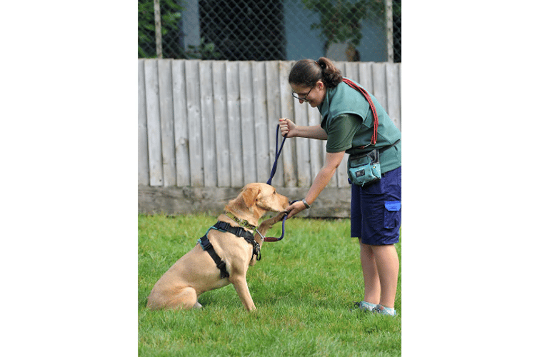 A helping hand and a helping paw for nervous Otis