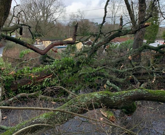 Storm Henk hits Teignbridge 