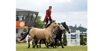 Atkinson Action Horses to put in performances at county show 