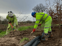 Relocated trees assist carbon negative highway