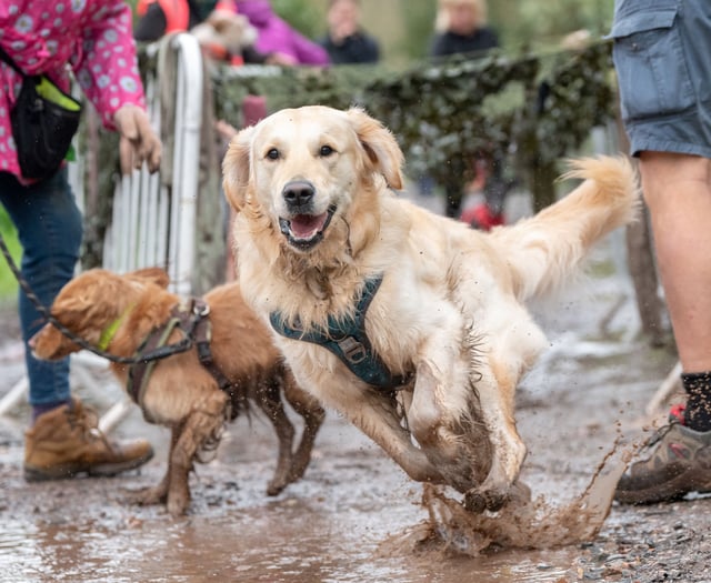 Muddy Mutts raise more than £5000 for animal charity