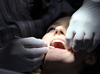 Dentist 'van' to help ease treatment crisis 