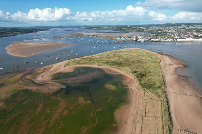 Dawlish Warren nature reserve