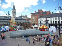 Whale to land in Dawlish 