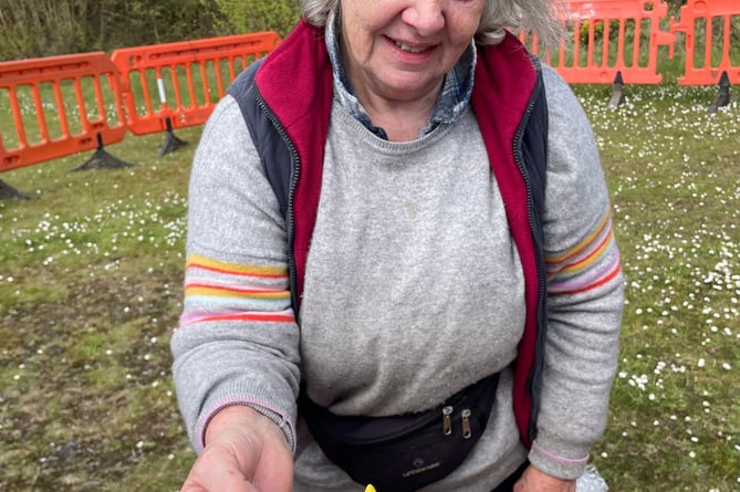 Ecologist Catriona Spalding at Dawlish Warren with endangered Petalwort