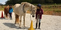 Helping young people with horses