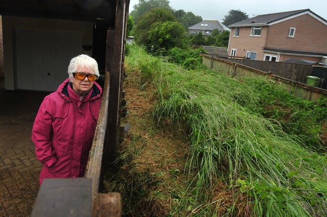 Ashburton resident June Cocks  and the offending overgrown bank which is steadily  taking over the public footpath