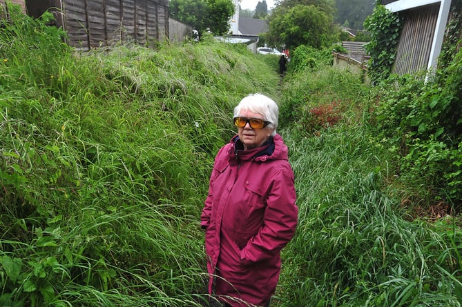 Ashburton resident June Cocks  and the offending overgrown bank which is steadily  taking over the public footpath