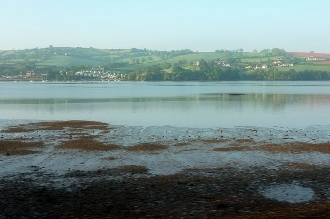 Teign estuary, Photo Derek Harper 