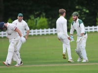 Tolchards Devon Cricket League weekend preview 17/08