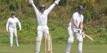 Tolchards Devon Cricket League weekend preview 31/08