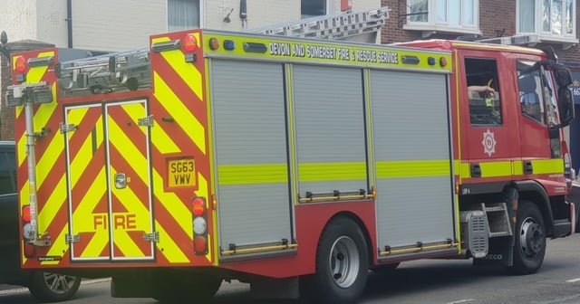 Devon and Somerset Fire & Rescue Service (Photo: Tindle News)