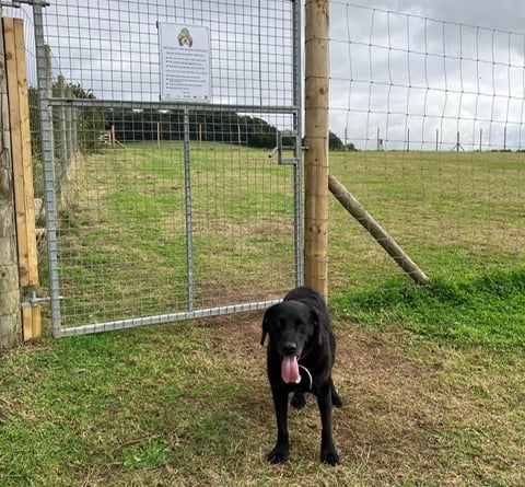 Dawlish Countryside Park dog compound. 