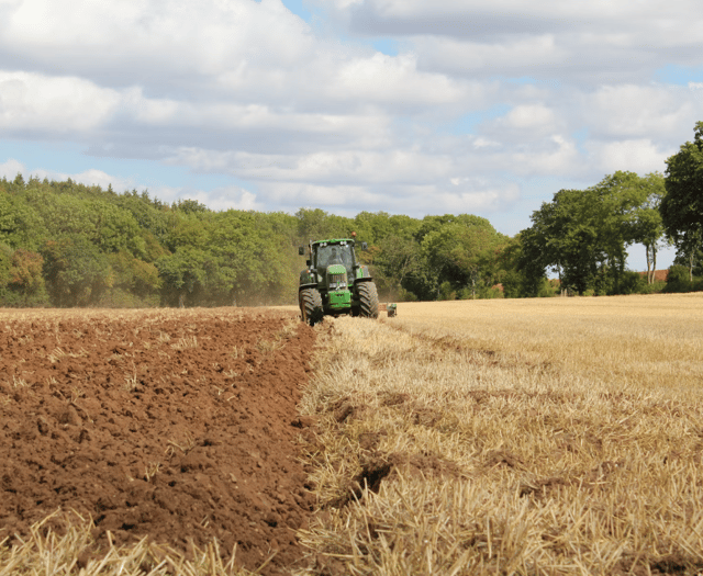 Devon farmers urged to plan for heavier rainfall