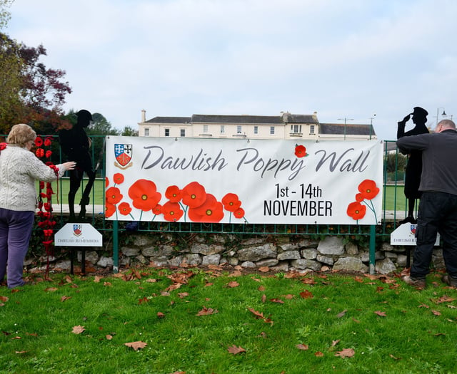 Great Wall of Poppies is back in Dawlish 