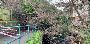 Storm Darragh affects south Devon 