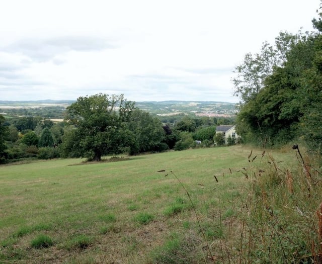 Homes scheme beaten by bats