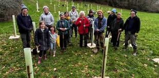 Trees planted to help planet