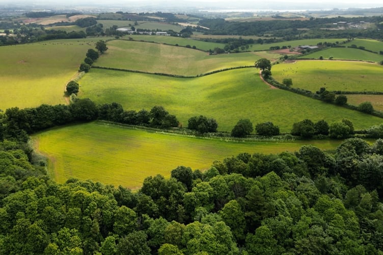 The site of the proposed landfill