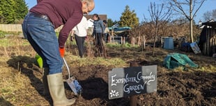 Community garden taking shape