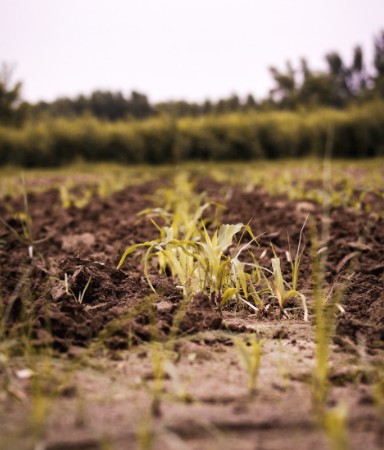 The Environment Agency is calling on Devon farmers to take action as it says soil pollution incidents have doubled