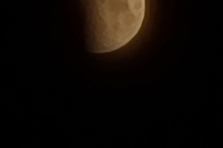 This morning's lunar eclipse pictured by Nicola Bennett. 